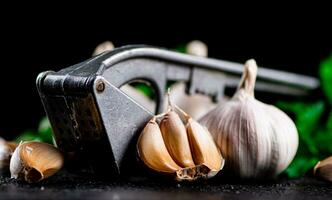 Garlic with parsley and garlic press. photo