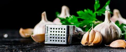Garlic with parsley and garlic press. photo