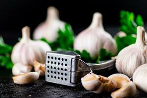 Garlic with parsley and garlic press. photo