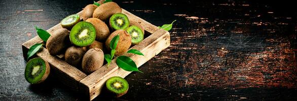 Fragrant kiwi with leaves on tray. photo