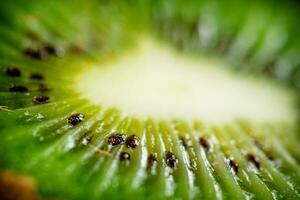 A piece of ripe kiwi. Macro background. photo