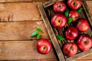 Fresh apples with leaves on the tray. photo