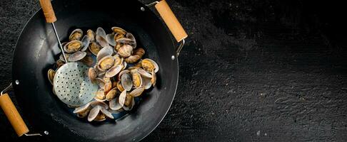 Vongole in a pot of water. photo