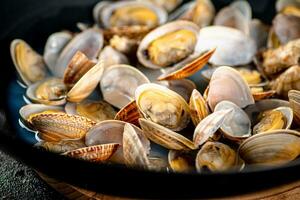 Fresh vongole. Macro background. Texture vongole. photo