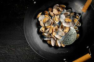 Vongole in a pot of water. photo