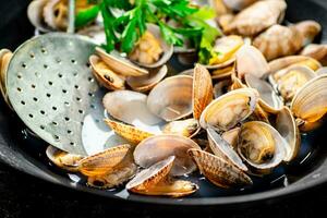 Fresh vongole with parsley. Macro background. photo