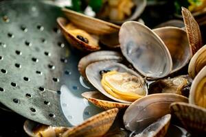 Vongole with noise. Macro background. photo