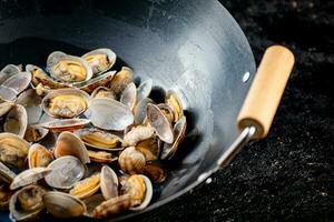 Vongole in a pot of water. photo