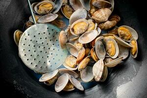 Vongole in a pot of water. photo