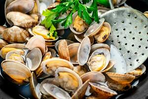 Fresh vongole. Macro background. Texture vongole. photo