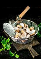 Vongole in a colander on a cutting board with parsley. photo