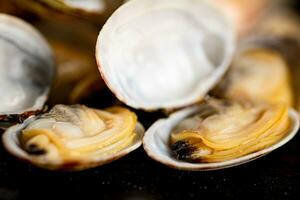 A pile of fresh vongole on the table. photo