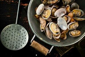 Vongole in a colander on a cutting board. photo