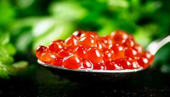 A full spoonful of red caviar on the table with parsley. photo