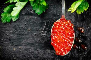 un cucharada de rojo caviar con perejil. foto