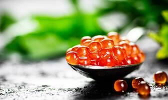 A full spoonful of red caviar on the table with parsley. photo