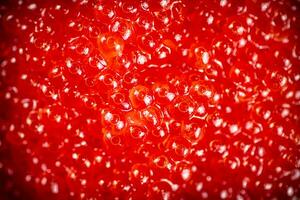 Grains of red caviar. Macro background. photo