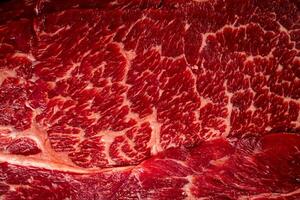 Raw beef pulp. Macro background. Beef texture. photo