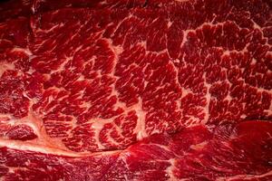 Raw beef pulp. Macro background. Beef texture. photo