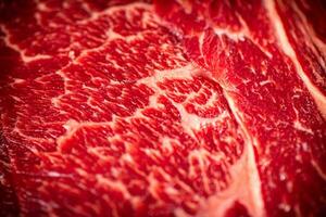 Raw beef pulp. Macro background. Beef texture. photo