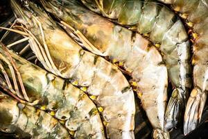 Fresh uncooked shrimp. Macro background. photo