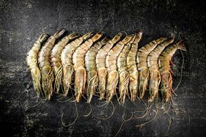 Fresh uncooked raw shrimp. On a black background. photo