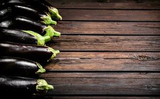 Fresh eggplants are in a row on the table. photo