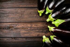 Fresh eggplants are in a row on the table. photo