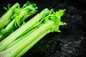 Stalks of fresh celery on the table. photo