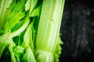 Stalks of fresh celery on the table. photo