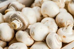 Fresh aromatic mushrooms. Macro background. photo