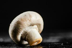 One fresh mushroom on the table. photo