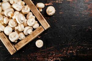 Mushrooms on a wooden tray. photo