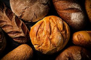 Different types of bread. Macro background. photo