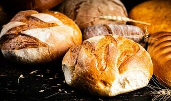 A variety of delicious bread on the table. photo