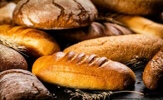Different types of bread with spikelets. photo
