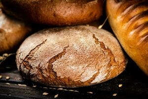 Different types of freshly baked bread. photo