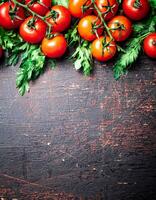 Fresh tomatoes on a branch with parsley. photo