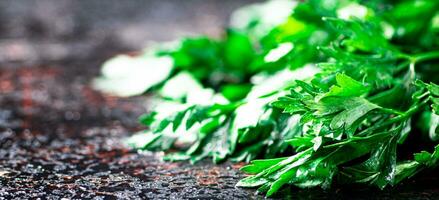 Parsley on a damp table. photo