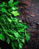 Parsley on a damp table. photo