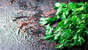 Parsley on a damp table. photo