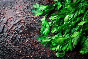 Parsley on a damp table. photo