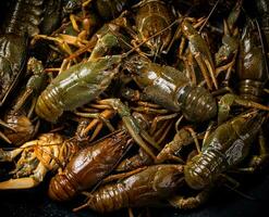 A bunch of fresh crayfish in a saucepan. photo