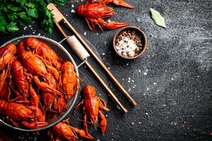 Boiled crayfish with parsley. On a black background. photo