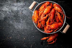 Freshly cooked crayfish in a colander. photo