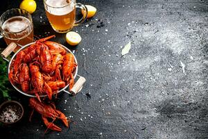 Boiled crayfish with parsley. On a black background. photo