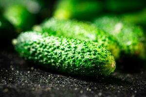 Ripe little cucumbers on the table. photo