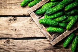 Fresh cucumbers on a wooden tray. photo