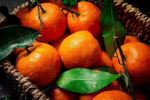 maduro mandarinas con hojas en un cesta. foto