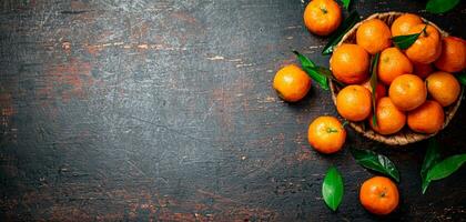 Fresh tangerines with leaves in a basket. photo